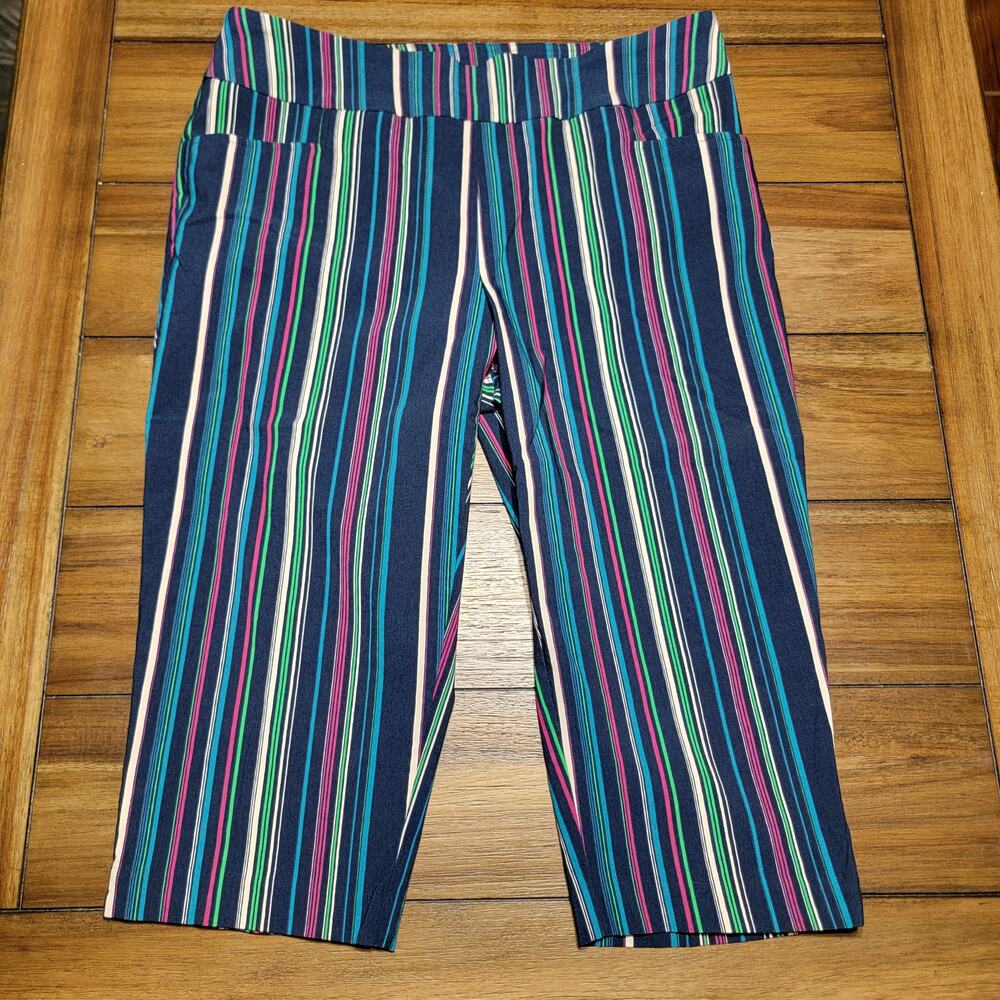 Terra & Sky Multicolor Stripes Pull-On Capri Pants w/ Front Pockets - ox (14W)
